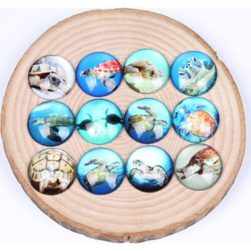 Reidgaller 20pcs Glass Cabochon 25 mm diy mixed turtle photo flatback handmade cameo findings for pendant necklace making