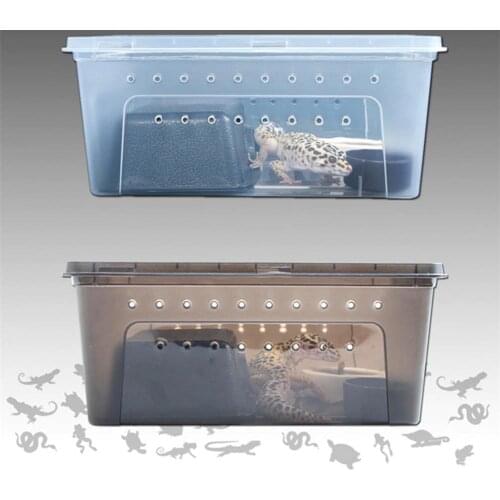 Plastic Feeding Box Ventilation Holes Easy to Clean Solid Color Feeding Hatching Container Reptile Feeding Box Pet Supplies