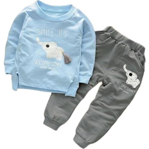 Childrens autumn 2021 boys girls clothes suit 3D elephant printing cartoon T-shirt pants boys leisure sports Hoodies set