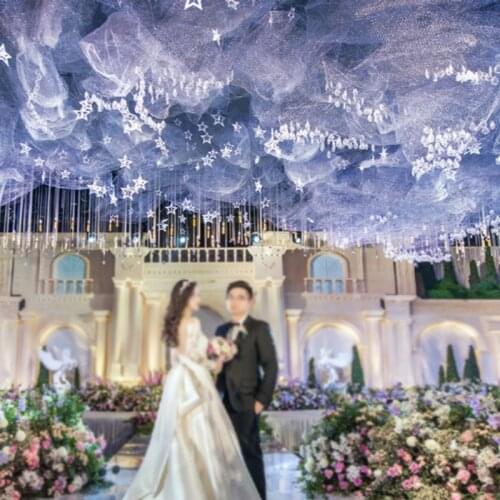 Hook Flower Barbed Wire Wedding Ceiling Decoration Background Stage Modeling Diy Party Decoration Flower arrangement accessories