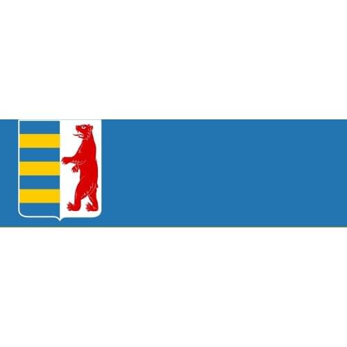 Ukraine Transcarpathian Oblast of Flag 150X90cm (3x5FT) 120g 100D Polyester Double Stitched High Quality Banner Free Shipping