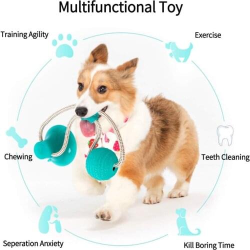 Multifunction Pet Molar Bite Dog Toys Cat Toy Safe Elasticity Cleaning Teeth Ball TPR Soft Puppy Suction Cup Biting Toys For Dog