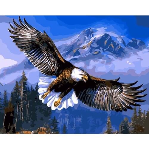 Eagle Flying Frameless Pictures Painting By Numbers DIY Digital Canvas Oil Painting Home Decor Wall Art 40*50cm