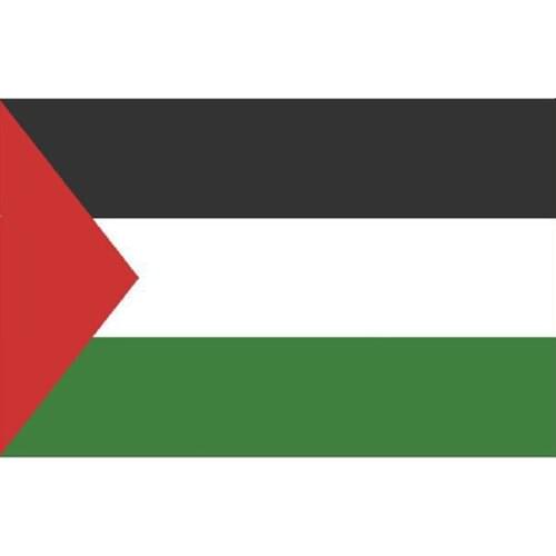 Palestine Flag 90x150 cm 100D Polyester Double Sided Printing Flags And Banners National Flag Country Banner