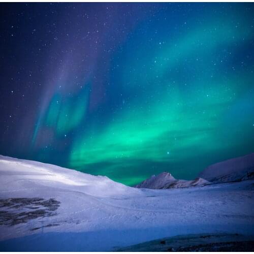 TR Vinyl Cloth Photo Background Snow Land Aurora Backdrop photography Studio Baby Children Wedding Backgrounds Backdrops Custom