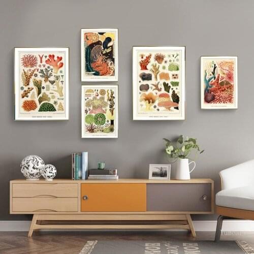 Vintage Educational Poster Great Barrier Reef Corals Echinoderms Reference Diagram Illustration Canvas Painting Wall Art Picture