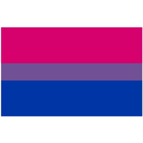 Free shipping Aerlxemrbrae flag Bisexual Pride Flag LGBT Size 90*150cmPink Blue Rainbow Flag Bisexual Pride LGBT Flag