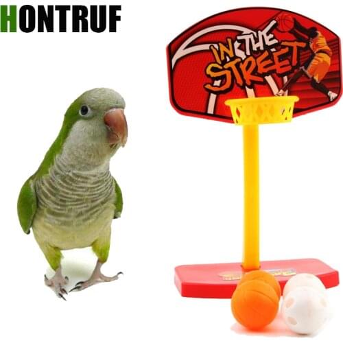 Parrot puzzle training intellectual development toy parrot shooting toy bite ball mini basketball basket desktop toy