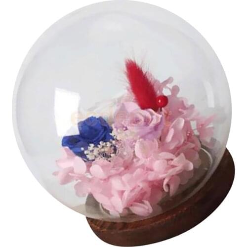 Transparent Ball Shaped Glass Cover Micro Landscape Display Terrarium Container Plant Dry Flower Vase with Wooden Tray Decor