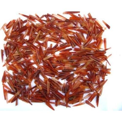 2.2lb RARE NATURAL red quartz crystal point original