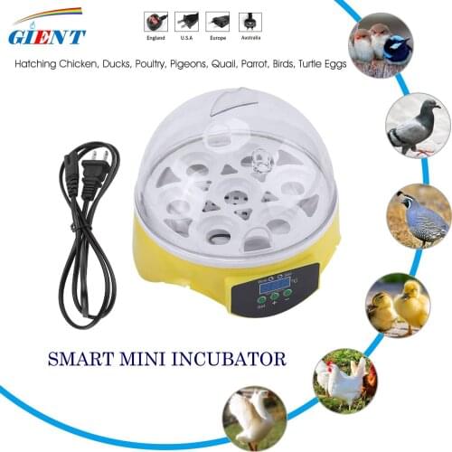 Mini 7 Egg Incubator Poultry Incubator Brooder Digital Temperature Hatchery Egg Incubator Hatcher Chicken Duck Bird Pigeon