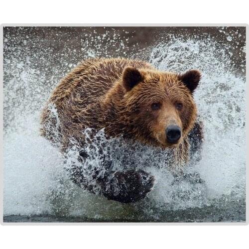 Brown Bear Splashing Into The River 5D DIY Diamond Painting Full Square/Round Diamond Embroidery Sale Rhinestones Picture Decor