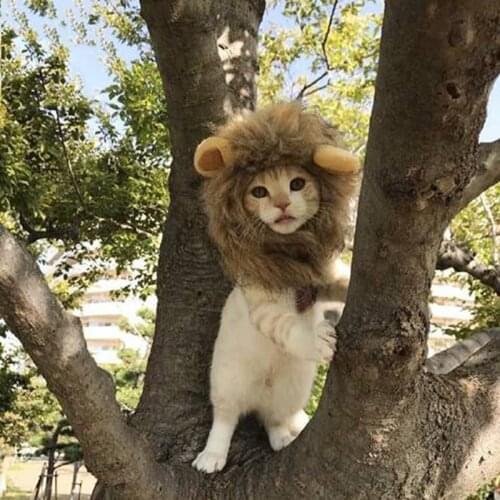Pet Cat Funny Dress Up Costume Wig Emulation Lion Hair Mane Ears Halloween Christmas Clothes Fancy Dress with Ears Pet Clothes