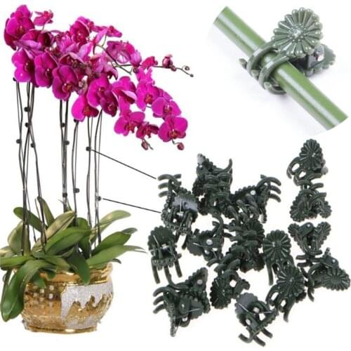 50Pcs 20mm Plastic Plant Support Clips For Orchid Hanging Vine Connects Plants Farm Tied Band Garden Supplies