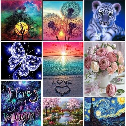 35x45 DIY Diamond Painting Number Painting 5D Home Decoration Diamond Painting Frameless Canvas Home furnishings