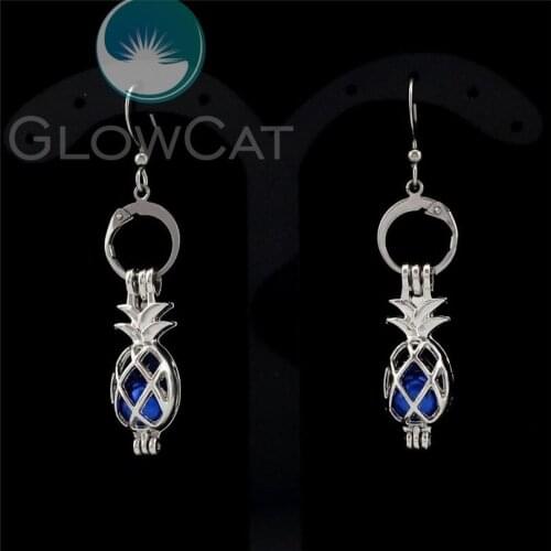 R-KE46 Fruit Pineapple Earrings Beads Pearl Cage Locket Perfume Aroma Statement Dangle Earring for Women Girl Drop Jewelry