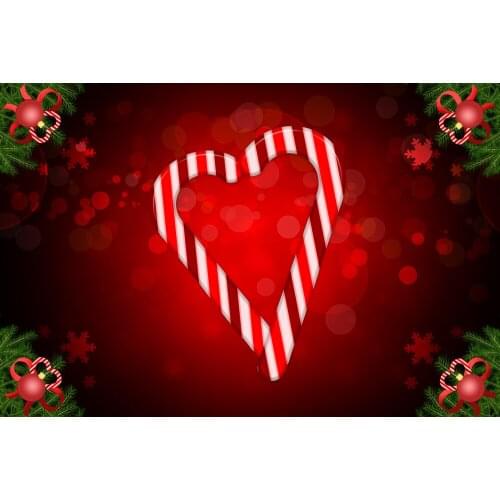 Striped Heart Shape Fond Photographie Background For Photography Princess Backdrop E190127A48