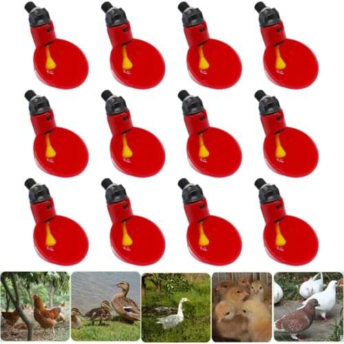 50/100PCS Chicken Poultry Drinkers Quail Pigeon Water Cups Nipple Drinking Bowls Bird Feeder for Backyard Cage Accessories
