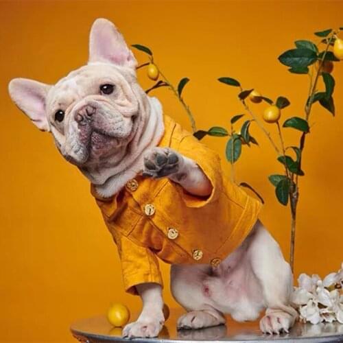 Dog clothes dog clothes for small dogs french bulldog dog jacket dog coat dog costume pet clothes dog clothing purple orange