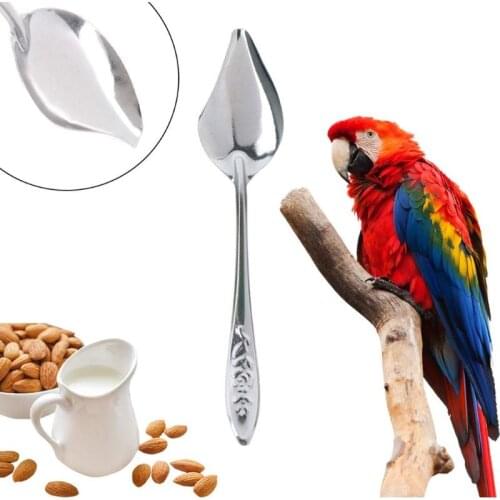 Bird Parrot Feeding Spoon Stainless Steel Water Milk Powder Feeder Spoons Bird Supplies