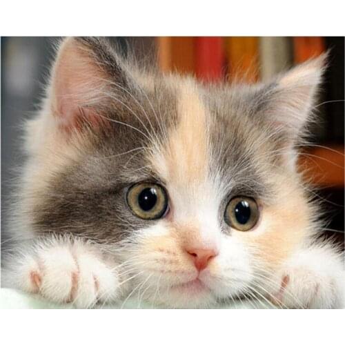 5D DIY Full Diamond Painting Big Eyes Cat Diamond Mosaic Diamond Drawing Square Diamond Embroidery Cross Stitch Decoration Gift