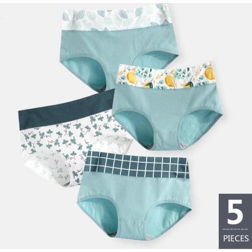 ZJX 5Pcs/lot New Panties Women Cotton High Waist Sexy Briefs Soft Underwear Cute Printed Seamless Lingerie Plus Size XXL