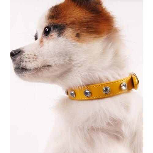 Dog Collar for Large Small Dogs Cats Collars Leads Pet Products Dogs Accessories Necklace Cats Collars Chihuahua JW0026