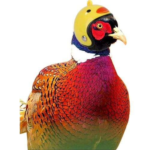 12 Style 4.5*4CM Mini Pet Helmets Chicken Parrot Helmets Birds Costume Hat Headwear for Small Animals Chick Hen Bird Duck