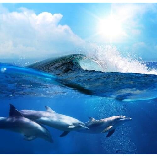 1801 Dolphin Playing undersea Sharks Swimming around sea Printing stretch ceiling film for workshop ceiling decoration