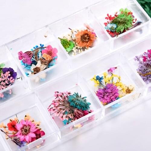 3D 12 Grids Natural Real Dry Gypsophila Daisy Flower for UV Gel Acrylic Nail Art DIY Tips Decoration Nail Accesoires Designs