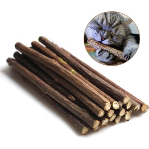 20pcs Natural Catnip Pet Cat Molar Toothpaste Stick Matatabi Actinidia Fruit Silvervine Cat Snacks Sticks Pet Cleaning Teeth