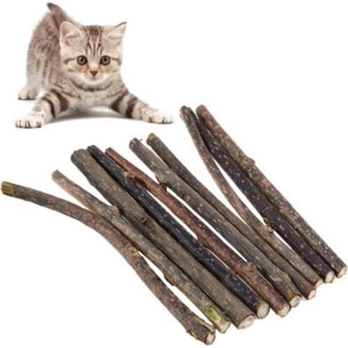 Catnip Stick Cat Cleaning Teeth Molar Toothpaste Stick Actinidia Polygama Cat Snacks Matatabi Sticks Cat Cleaning Pet Supplies