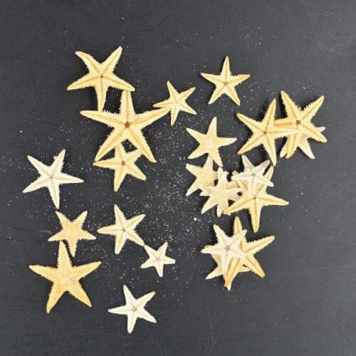100pcs 1-2cm 2-3cm Mini Starfish Craft Decoration Natural crafts Sea Stars DIY Beach Cottage Wedding Decor hot new