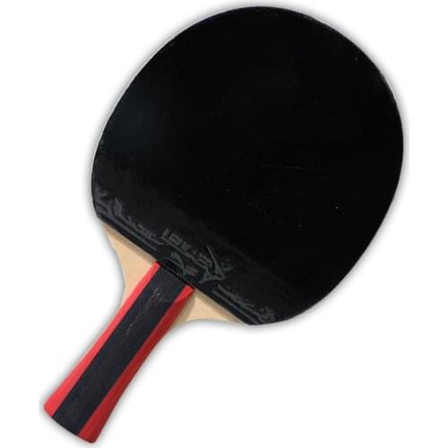 Regal table tennis racket set double-sided anti-adhesive two racket three ball with racket cover table tennis racket 1219