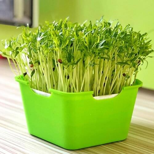 70% Dropshipping!!2021 Nursery Pot Easy to Use Corrosion-resistant Plastic Sprout Planting Pot Box for Garden