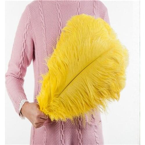 Asia Ra cheap Ostrich Feathers for DIY Jewelry Craft Making Wedding Party Decor Accessories Wedding Decoration 45-50cm