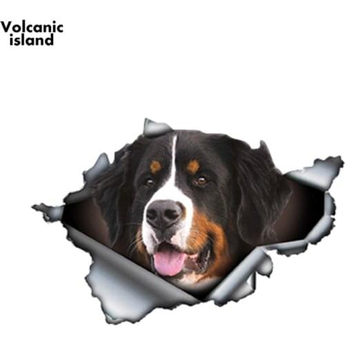 HotMeiNi Bernese Mountain Dog Car Sticker Torn Metal Decal Reflective Stickers Waterproof Car Styling Pet Decals 13cm x 8.6cm