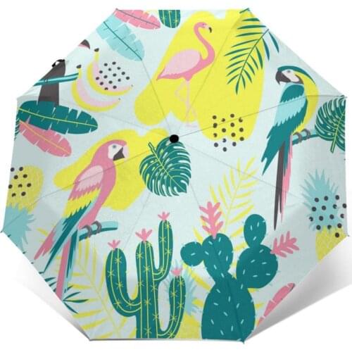 Tropical Toucan Flamingos Parrot Cactuses And Exotic Leaves Windproof Automatic Folding Inverted Portable Paraguas for Man Woman