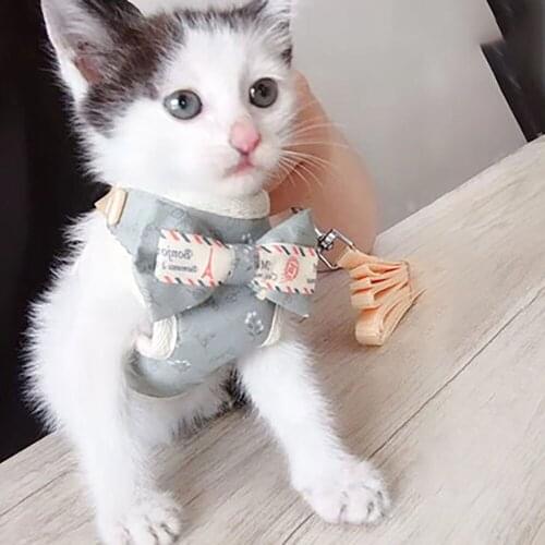 Cat Accessories Cat Collar Dogs Leash Dog Collars Tag ошейник для Cобак Cloth S M L XL Size Pequeño поводок для собак Szelki Dla