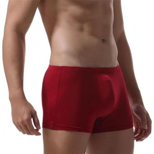 Yipihorse Men's Boxers