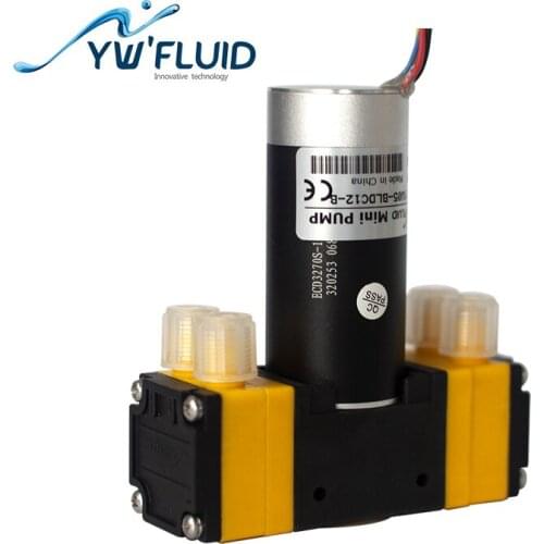 Both Liquid and gas usage electrical mini water pumps12v BLDC