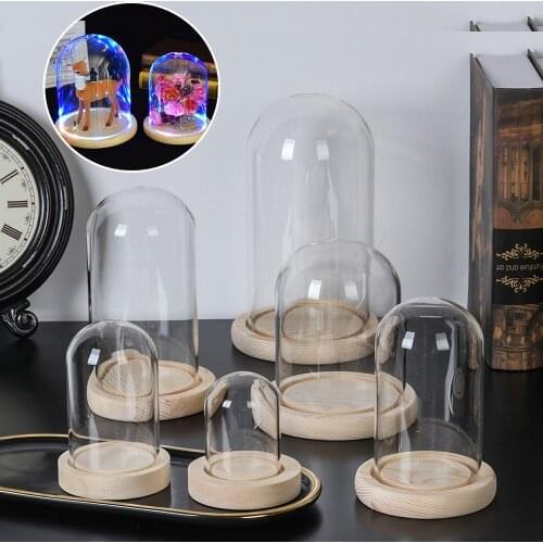 Terrarium Bottle with Wooden Base Acrylic Dust Cover Glass Cloche Jar Display Stand Cover Display Box Immortal Flower Box