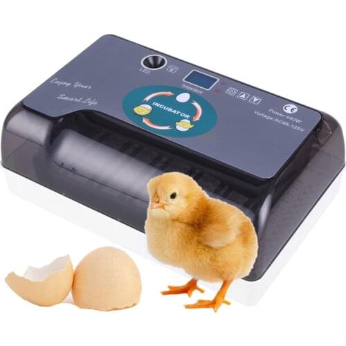 12pcs Smart Digital Brooder Household Intelligent Egg Incubators Farm Small Automatic Hatchers Poultry Quail Chicken Duck Goose