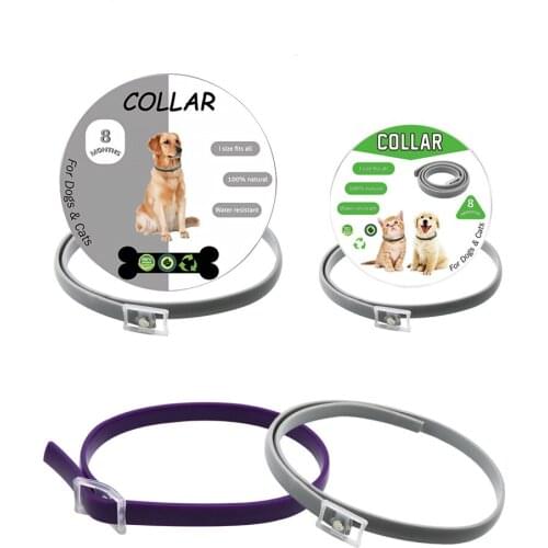 Dog & Cat Collar 8 Month Flea & Tick Prevention Collar Anti Flea Ticks Mosquitoes Silicone Adjustable Pet Collar Cat Accessories