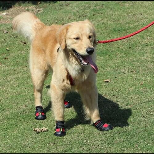 La MaxZa Shoes For Dogs