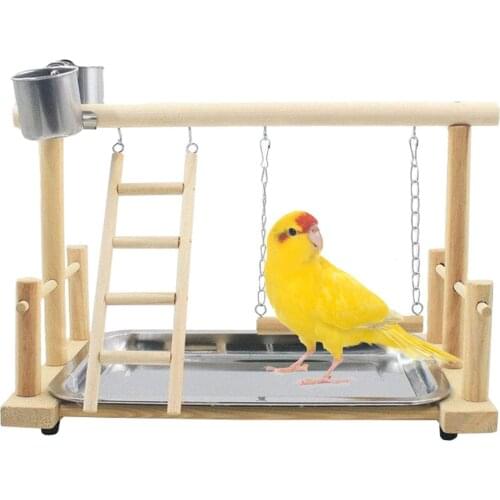 Parrots Playground Bird Gym Playpen with Ladder Swing Feeding Cups for Parakeets Conures Cockatiel Cage Accessories Exercise Toy