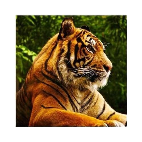 Wholesale 3D Tiger Animal DIY Dishwasher Refrigerator Freeze Sticker Art Fridge Door Cover Wallpaper Kitchen Wall Stickers