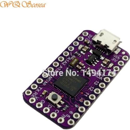 WQScosea Q8S-384 SAMD21 Micro-controller ATSAMD21G18 48MHz M0-Mini 32-bit ARM Cortex M0 Core Development Board for Arduino