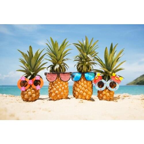 JMINE Div 5D pineapple sea beach Full Diamond Painting cross stitch kits art High Quality Scenic 3D paint by diamonds
