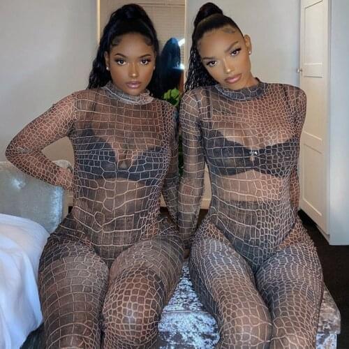 Sexy Sheer Mesh Bodysuit Two Piece Set See Through O Neck Long Sleeve Bodysuit Top with Pencil Pants Bodycon 2 Piece Set
